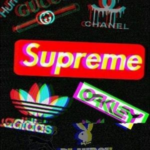 Meet your Posher, Oscar